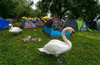 Otvorenje 19. lipnja: INmusic kamp čeka prve posjetitelje