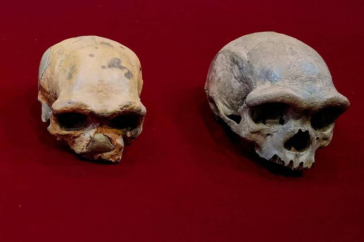 Novootkriveni 'čovjek zmaj' je najbliži predak Homo sapiensu