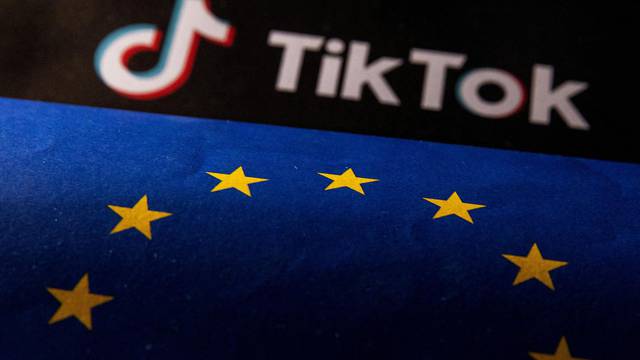 FILE PHOTO: Illustration shows EU flag and TikTok logo