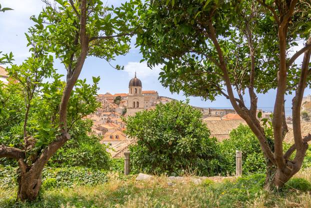 Dubrovnik: Vrtovi franjevačkog samostana