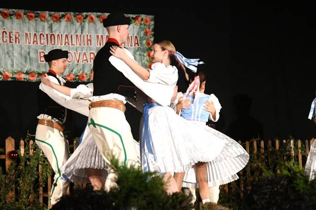 Bjelovar: Održana tradicionalna manifestacija Večer nacionalnih manjina