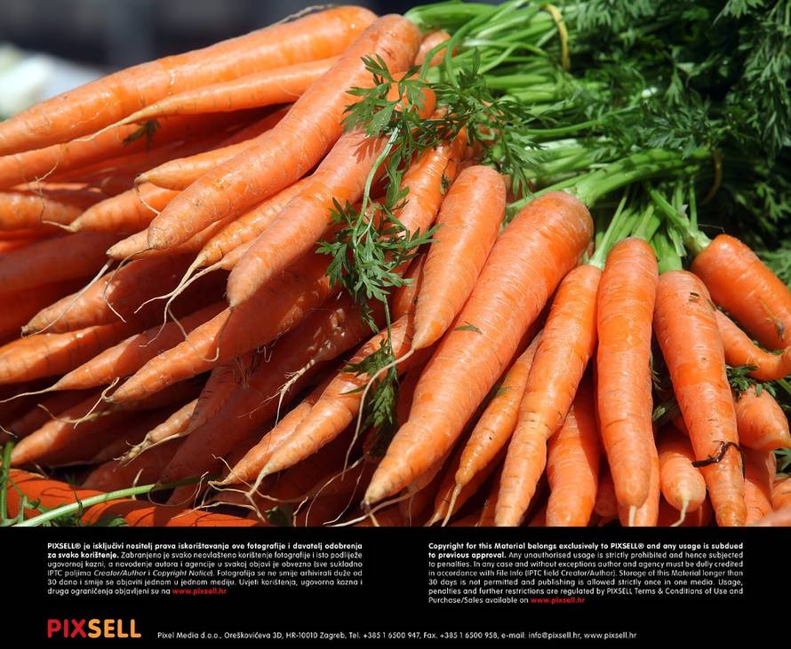 Duško Jaramaz/Pixsell