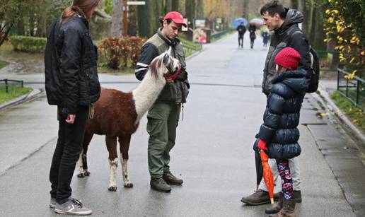 Zagreb: Jassper (9) svaki dan ide u šetnju po Zoološkom vrtu 