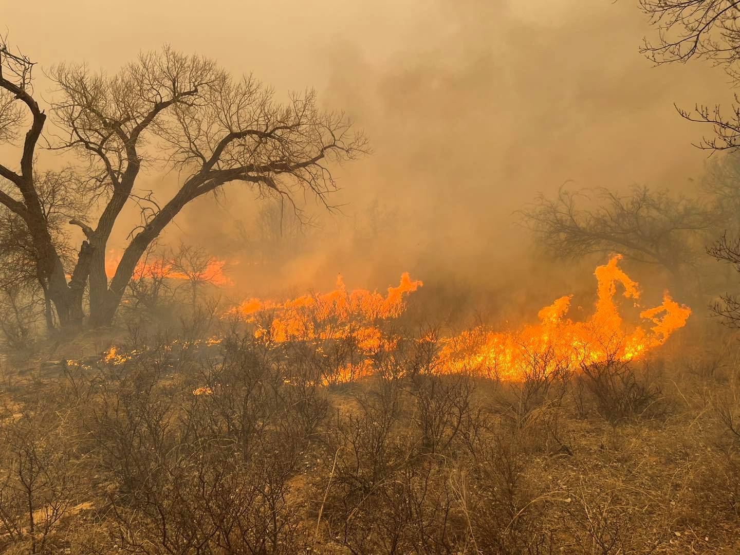 Wildfires in Texas