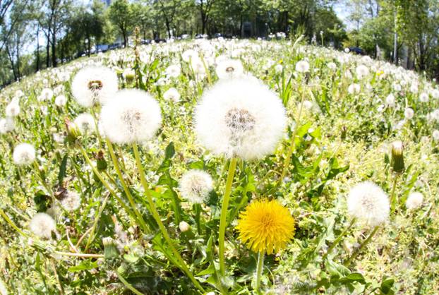 Na današnji dan obilježava se Dan planeta Zemlje