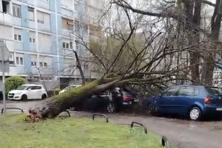 Poru&scaron;ena stabla nakon nevremena