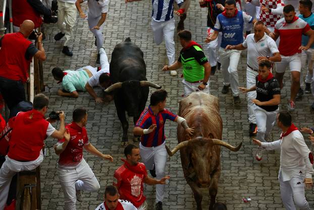 Pamplona's San Fermin festival