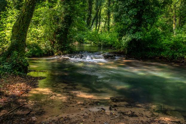 Turquoise color of water in the summer on the river Janj