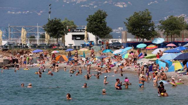 Rijeka: Mravinjak na plaži pod stadionom na Kantridi