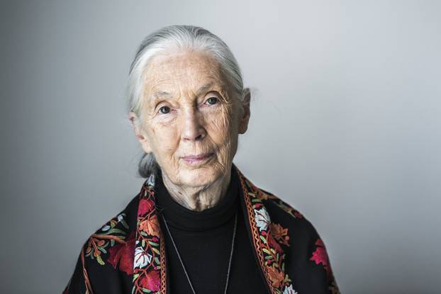 Jane Goodall photoshoot, Stockholm, Sweden - 21 May 2018
