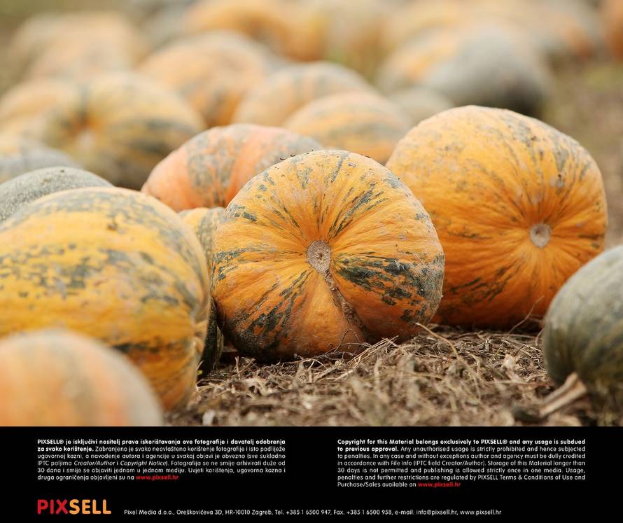 Marijan Sušenj/Pixsell