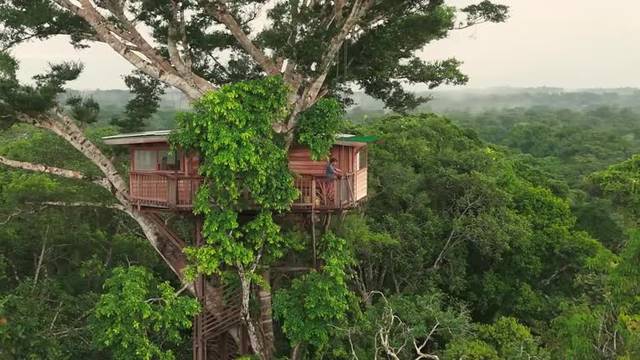 Is this rainforest treehouse the world’s most extreme classroom?
