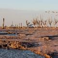 Dosad neviđeni toplinski val hara Argentinom: Temperature ne prestaju rasti, uništeni usjevi