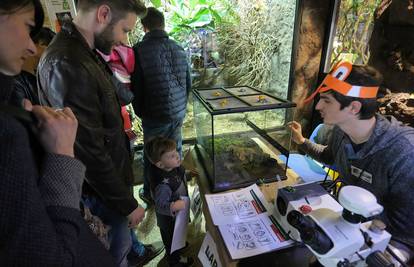 Vidjeli i najotrovniju žabu: Svi vole žabovanje u ZOO vrtu...