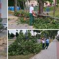 FOTO Nevrijeme u Karlovcu: Jak vjetar u par minuta napravio kaos, porušena brojna stabla