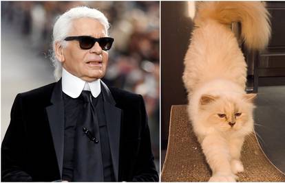 Krenula borba za Lagerfeldovo nasljedstvo: Mačka je 'izvisila'