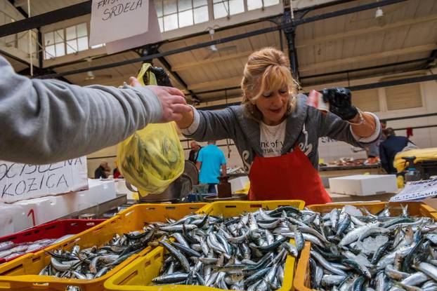 Split: Bogata ponuda ribe petkom u splitskoj ribarnici