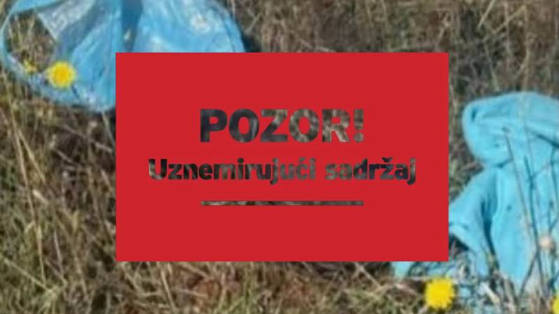 UŽAS Udario psa i rekao da će ga odvesti veterinaru! Javila se vlasnica: 'Bacio ju je u vrećici'