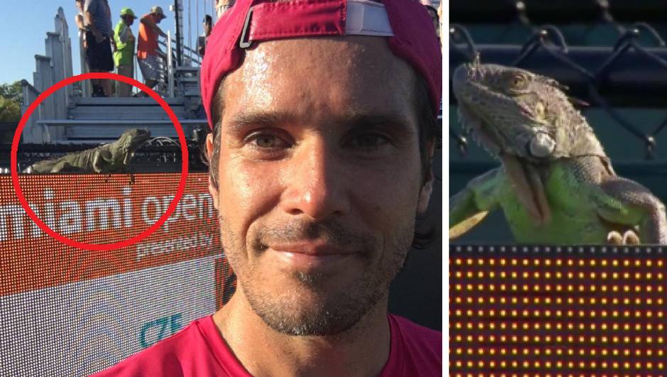 Haas ima teniski selfie godine: Na meč mu je uletjela - iguana!