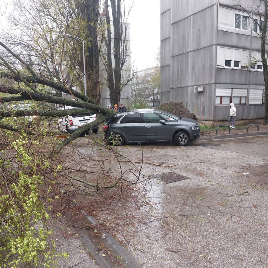 Evo koliko su vatrogasci imali intervencija zbog oluje
