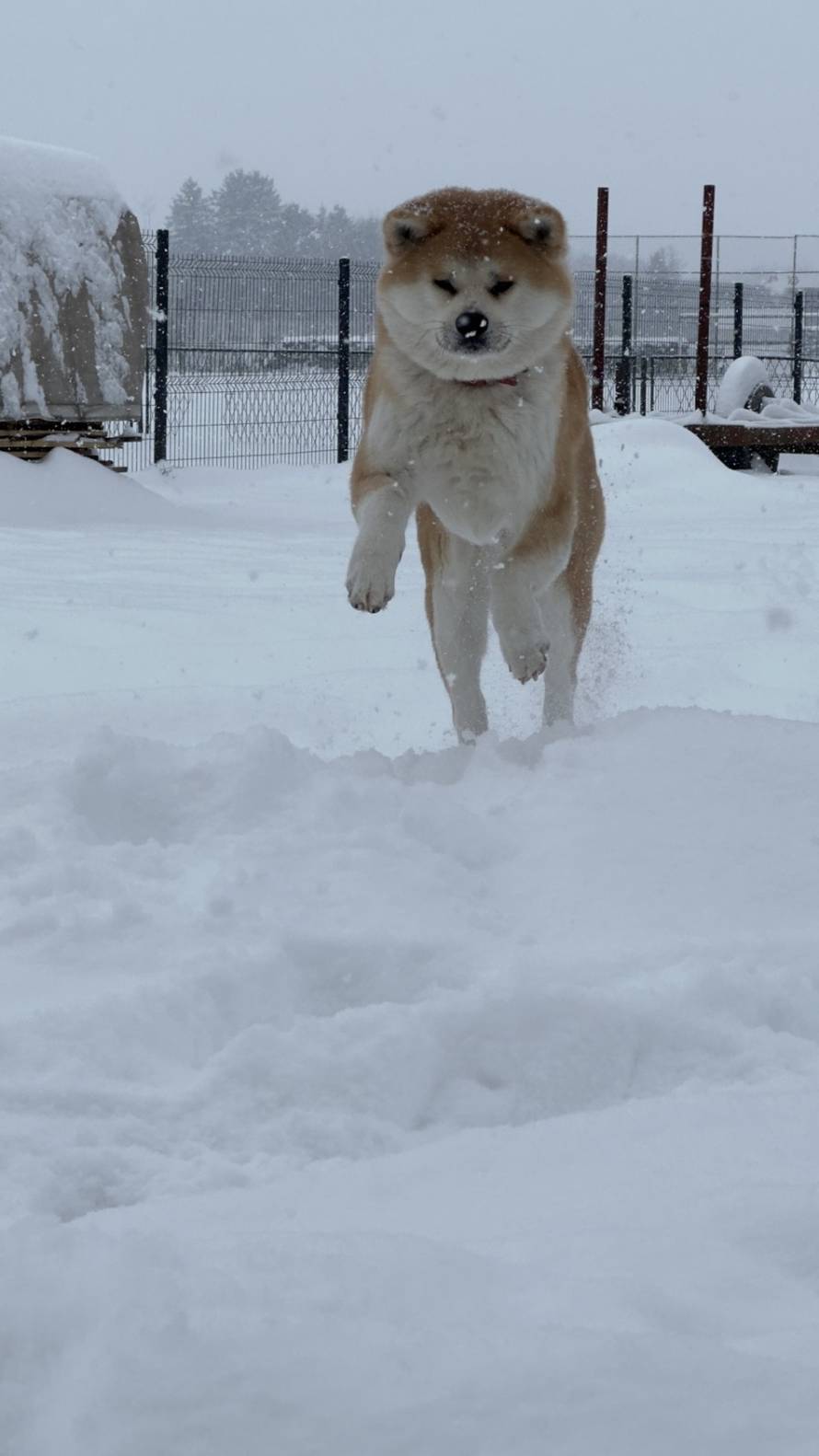 Općinska komunalka sama 'izlopatala' snijeg sa staze: 'Nema nikakve drame u tome'