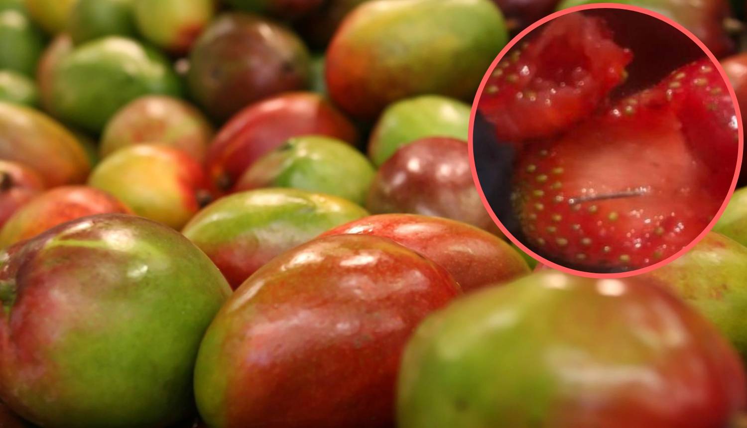 Nisu samo jagode: Kupac našao iglu i u mangu, traže se krivci