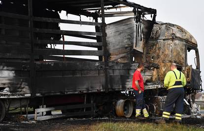 VIDEO Kamion potpuno izgorio na A3 kod Nove Gradiške: Požar izbio zbog puknuća gume?
