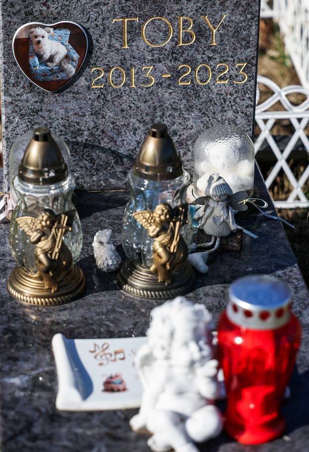 Zagreb: Groblje kućnih ljubimaca u Dumovcu obišao je jedino jedan mačak