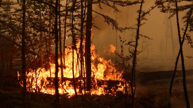 Fire burns in a forest in Yakutia
