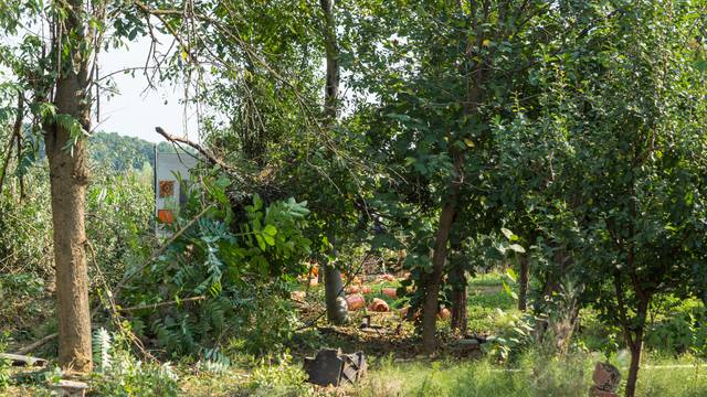 Kamion s 300 plinskih boca je uništio voćnjak kraj Bjelovara
