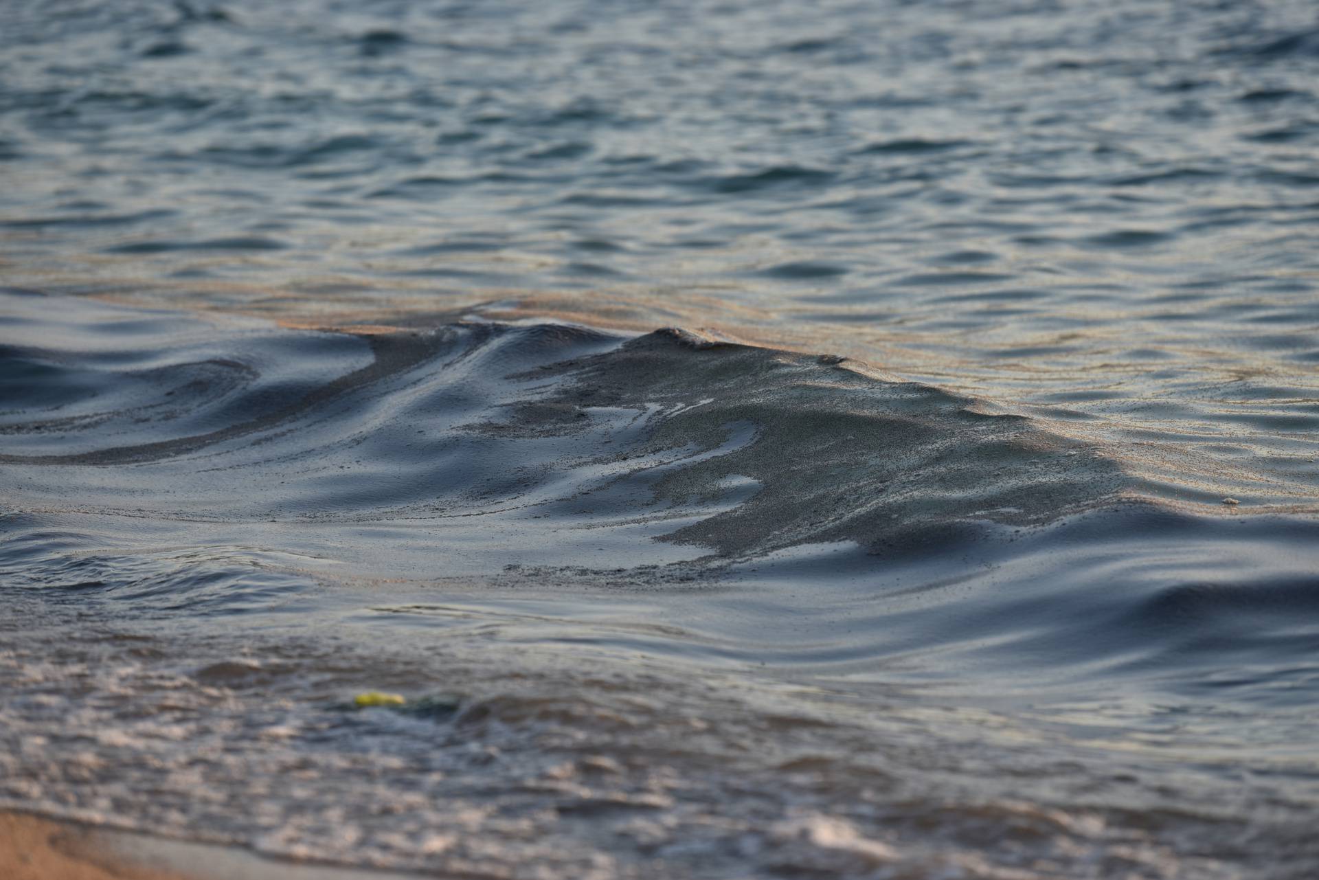 Mušice preplavile more na plaži Donja Luka u Makarskoj