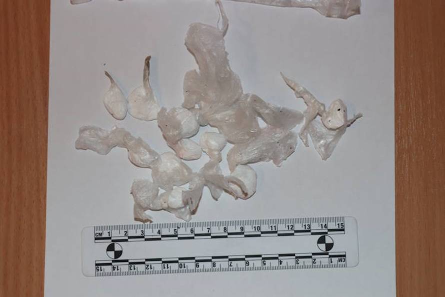 FOTO Pao diler u centru Zagreba: Policija kod njega pronašla MDMU-u i speed