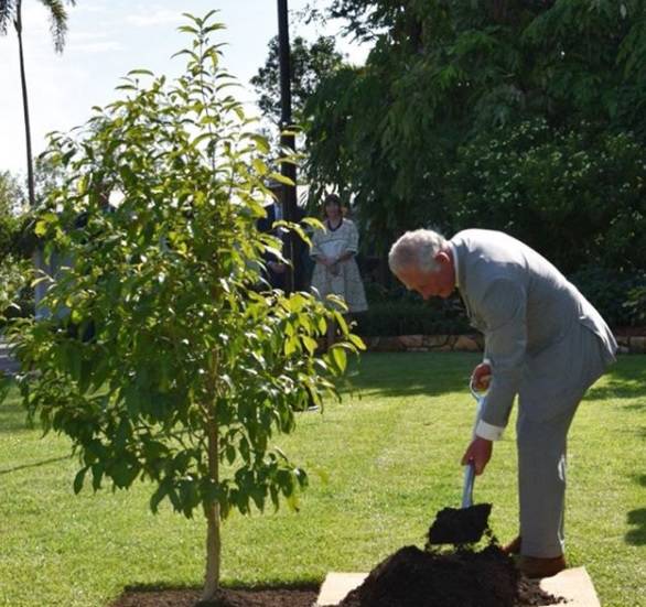 Vole drveće: Kraljica Elizabeta i princ Charles pričaju s biljem