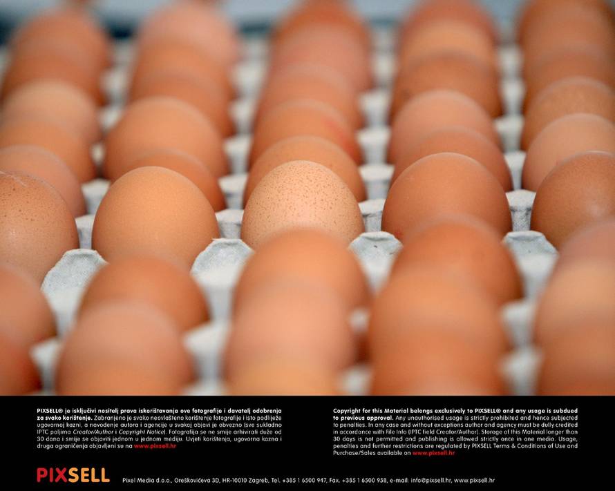 Duško Jaramaz/PIXSELL