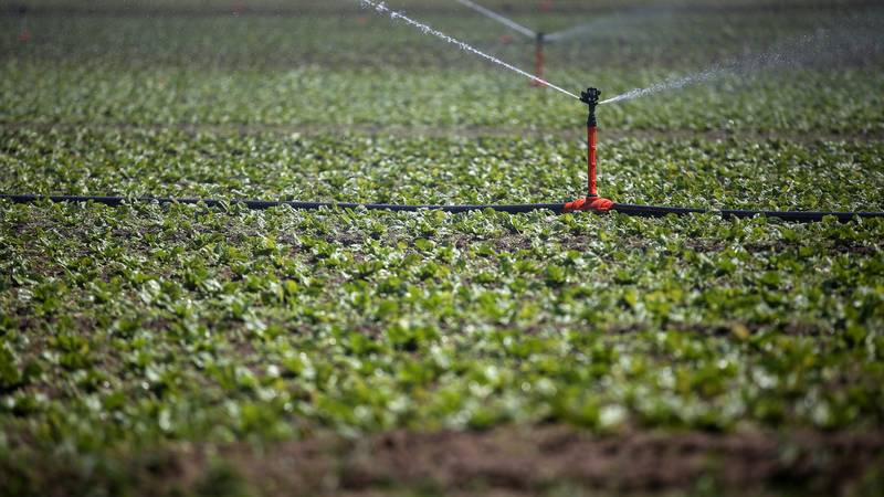 Poljoprivrednicima do 26.600 eura za navodnjavanje!