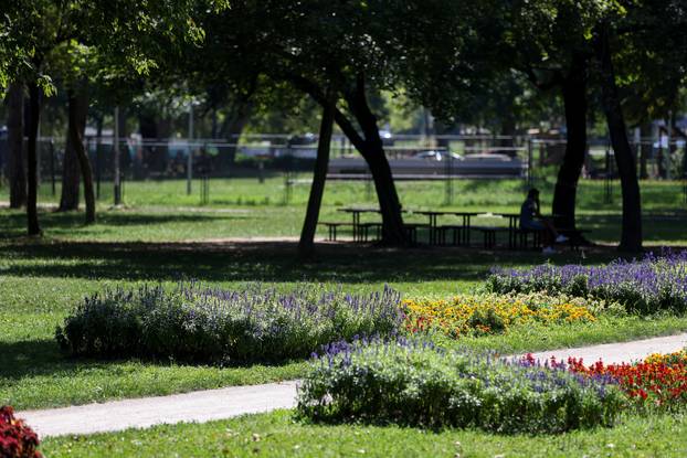 Započela je sezona alergenih biljaka u Zagrebu