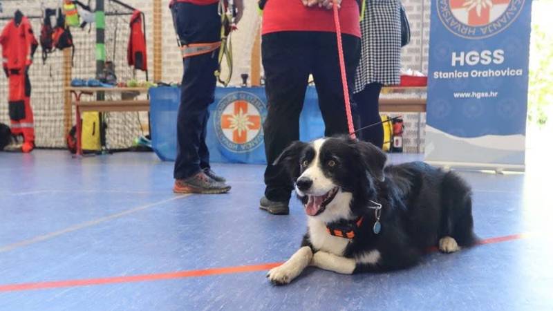 Tuga u HGSS-u: Preminula Tara, hrabra tragačica s terena