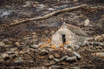 FOTO Spaljena zemlja: Potresni prizori opožarene Žrnovnice