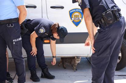 FOTO Policajci iz Poljske, Češke, Italije i Francuske  u Splitu: Na raspolaganju svojim građanima