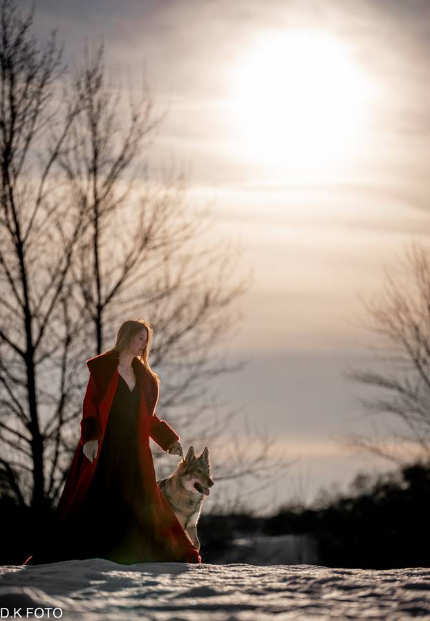 GALERIJA Nastali su od vukova, rođaci su Nazgula s Olimpijskih igara i žive kraj Velike Gorice!