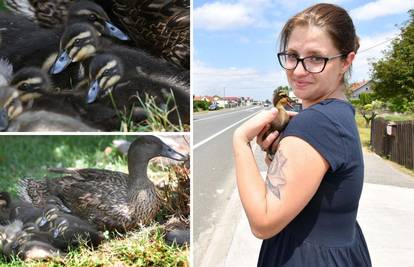Vera  je zahvalna nepoznatom vozaču: 'Zaustavio je promet i spasio moje patke'