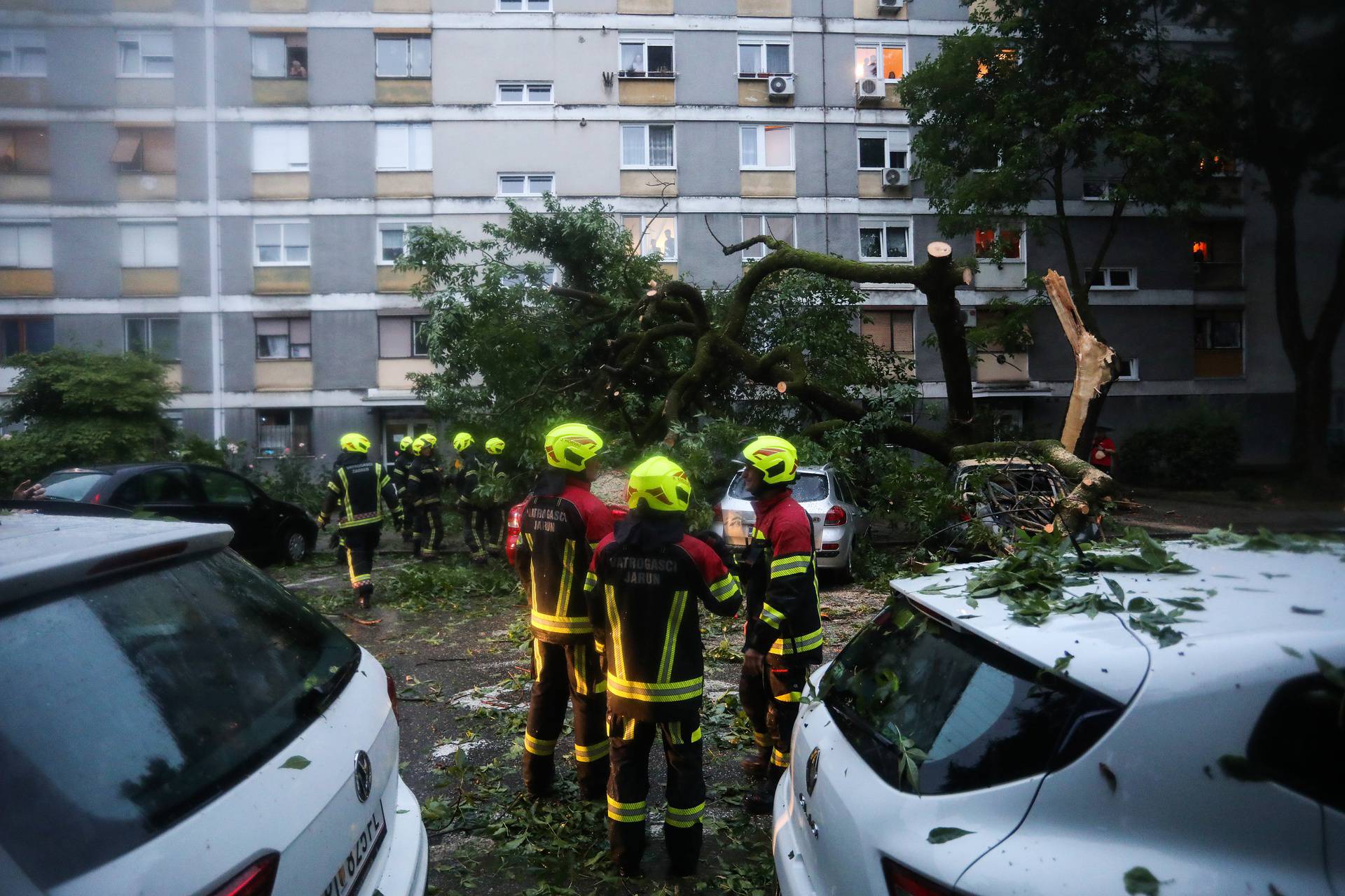 Zagreb: Na parkirane automobile u Trnskom srušilo se stablo