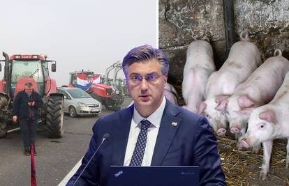 Vukovarski HDZ-ovci pozvali su svinjogojce na prekid protesta: 'Nije Plenković kriv za kugu...'