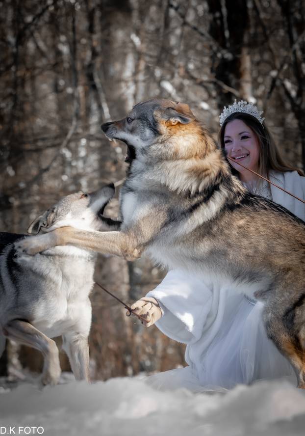 GALERIJA Nastali su od vukova, rođaci su Nazgula s Olimpijskih igara i žive kraj Velike Gorice!