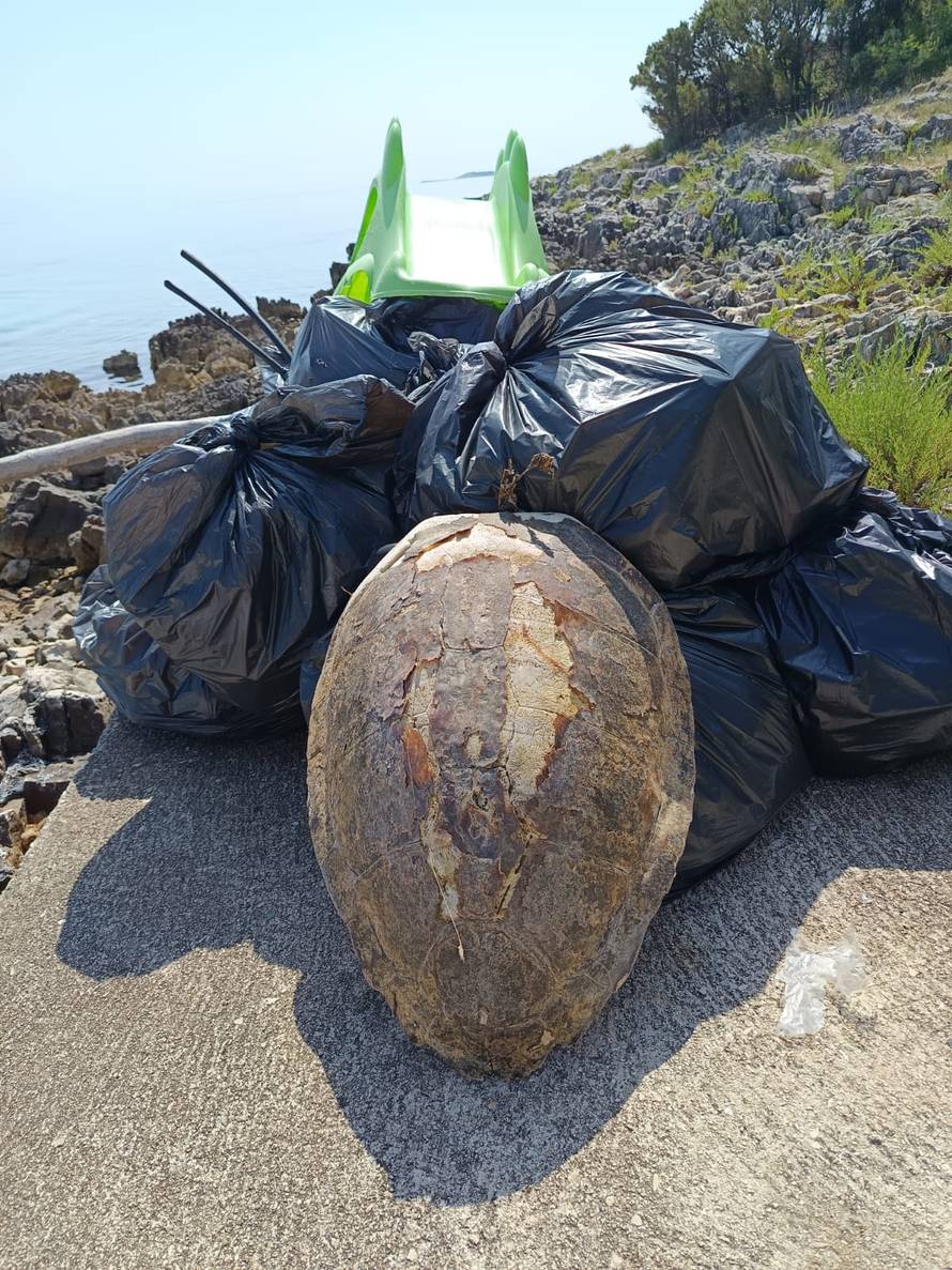 Belgijci čistili na otoku Molatu: Pridružili su se zadarskim izviđačima u ekološkoj akciji