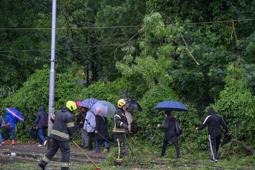 Zagreb: Palo stablo na Maksimirskoj, blokiran promet, vatrogasci na terenu