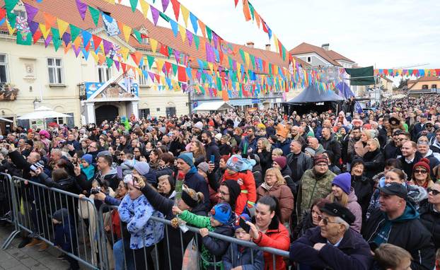 Velika povorka maskiranih grupa na 200. Samoborskom fašniku