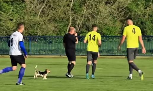 VIDEO 'Huligan' na četiri noge. Pas prekinuo niželigaški derbi kraj Koprivnice: 'Sudac, cucek!'