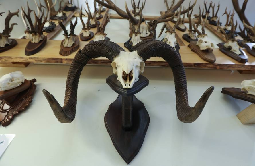 24SATA Izložba "100 godina hrvatskog lovstva" u Lovačkom muzeju