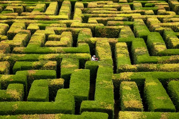 Ovaj vrtlar uređuje labirint pred otvaranje, no - zna li on izaći?